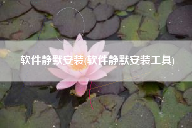 软件静默安装(软件静默安装工具)