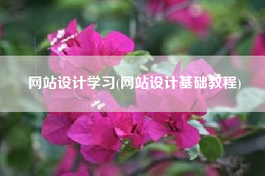 网站设计学习(网站设计基础教程)