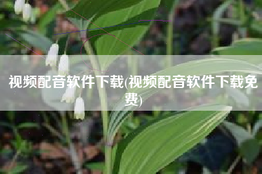 视频配音软件下载(视频配音软件下载免费)