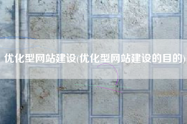优化型网站建设(优化型网站建设的目的)