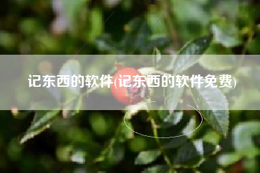记东西的软件(记东西的软件免费)