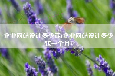 企业网站设计多少钱(企业网站设计多少钱一个月)