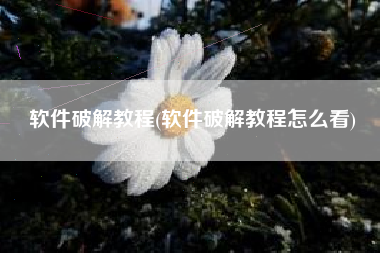 软件破解教程(软件破解教程怎么看)
