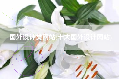 国外设计类网站(十大国外设计网站)