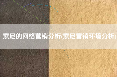 索尼的网络营销分析(索尼营销环境分析)
