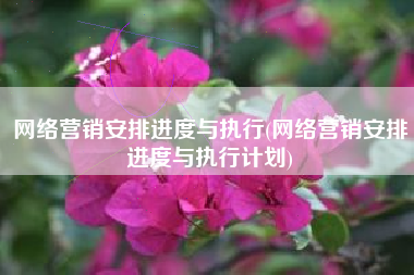 网络营销安排进度与执行(网络营销安排进度与执行计划)