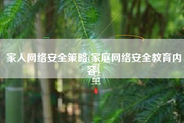 家人网络安全策略(家庭网络安全教育内容)