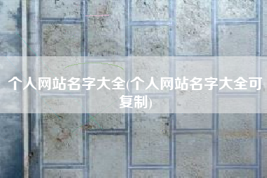个人网站名字大全(个人网站名字大全可复制)