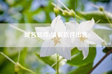 域名软件(域名软件出售)