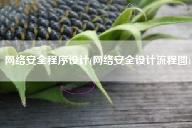 网络安全程序设计(网络安全设计流程图)