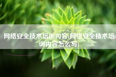 网络安全技术培训内容(网络安全技术培训内容怎么写)
