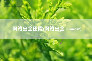 网络安全田霞(网络安全 sunwear)