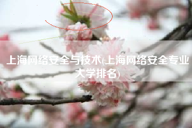 上海网络安全与技术(上海网络安全专业大学排名)