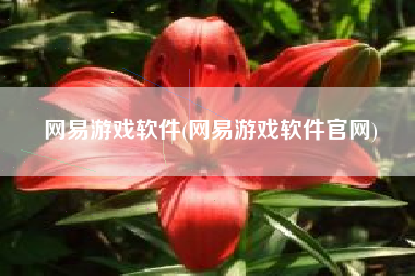 网易游戏软件(网易游戏软件官网)
