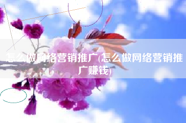 怎么做网络营销推广(怎么做网络营销推广赚钱)