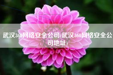 武汉360网络安全公司(武汉360网络安全公司地址)