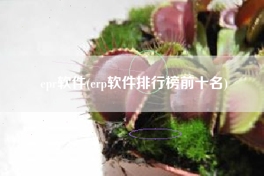 epr软件(erp软件排行榜前十名)