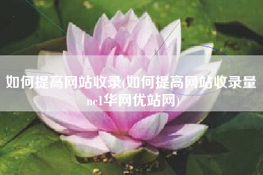 如何提高网站收录(如何提高网站收录量 nc1华网优站网)