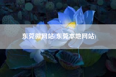 东莞微网站(东莞本地网站)