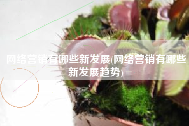 网络营销有哪些新发展(网络营销有哪些新发展趋势)