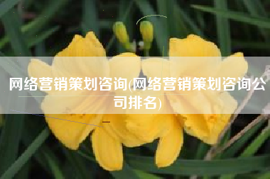 网络营销策划咨询(网络营销策划咨询公司排名)