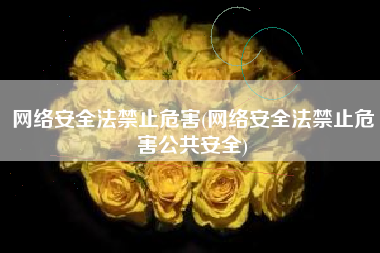 网络安全法禁止危害(网络安全法禁止危害公共安全)