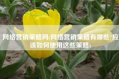 网络营销策略网(网络营销策略有哪些?应该如何使用这些策略)