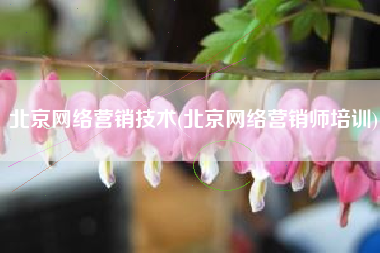 北京网络营销技术(北京网络营销师培训)