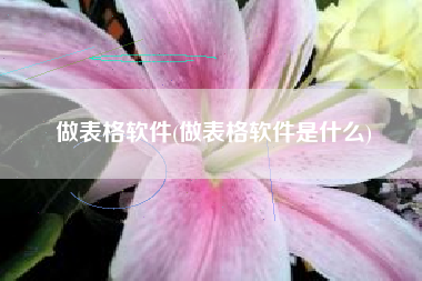 做表格软件(做表格软件是什么)
