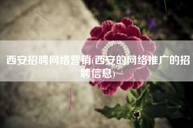 西安招聘网络营销(西安的网络推广的招聘信息)