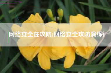 网络安全在攻防(网络安全攻防演练)