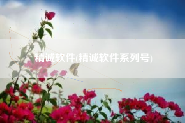 精诚软件(精诚软件系列号)