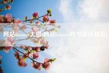 网站banner大图(网站banner尺寸设计规范)