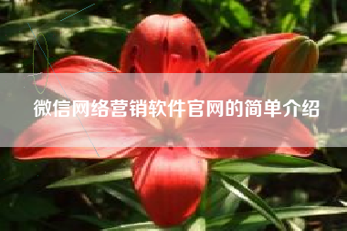 微信网络营销软件官网的简单介绍
