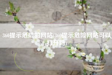 360提示危险的网站(360提示危险网站可以打开吗)