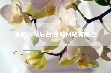 金融网站后台(金融网站有哪些)