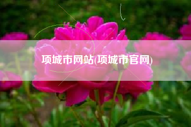 项城市网站(项城市官网)