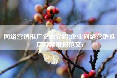 网络营销推广企业介绍(企业网络营销推广方案策划范文)