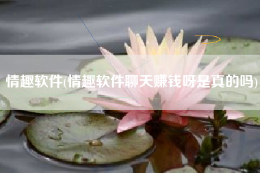 情趣软件(情趣软件聊天赚钱呀是真的吗)
