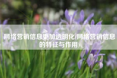 网络营销信息更加透明化(网络营销信息的特征与作用)