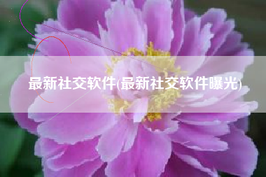 最新社交软件(最新社交软件曝光)