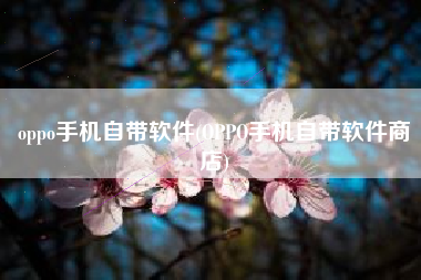 oppo手机自带软件(OPPO手机自带软件商店)