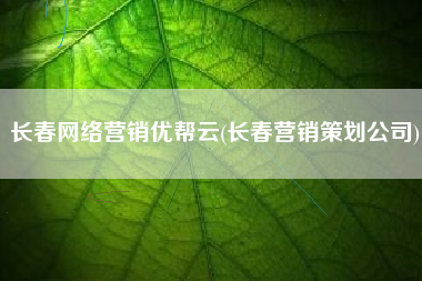 长春网络营销优帮云(长春营销策划公司)