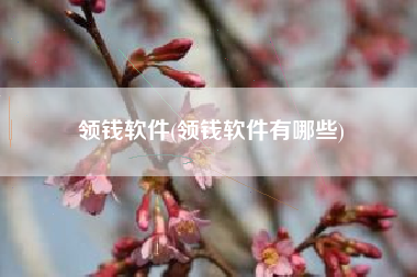 领钱软件(领钱软件有哪些)