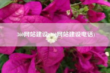 360网站建设(360网站建设电话)