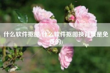 什么软件抠图(什么软件抠图换背景是免费的)