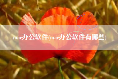 mac办公软件(mac办公软件有哪些)