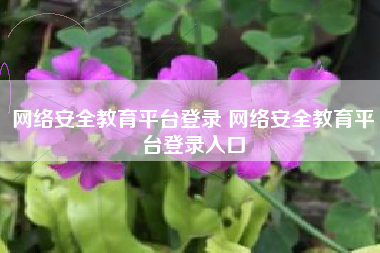 网络安全教育平台登录 网络安全教育平台登录入口
