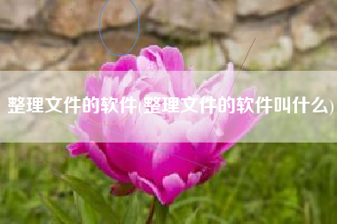 整理文件的软件(整理文件的软件叫什么)