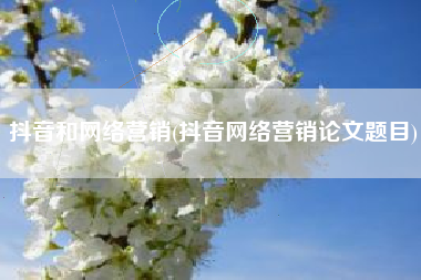 抖音和网络营销(抖音网络营销论文题目)